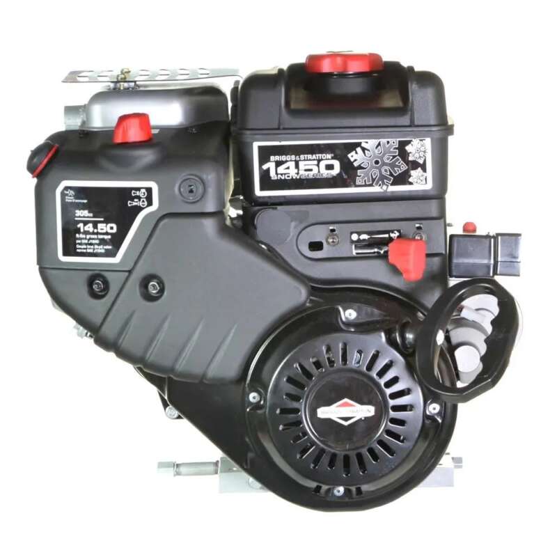 Briggs Stratton Snow Engine 20M312 3007 F1