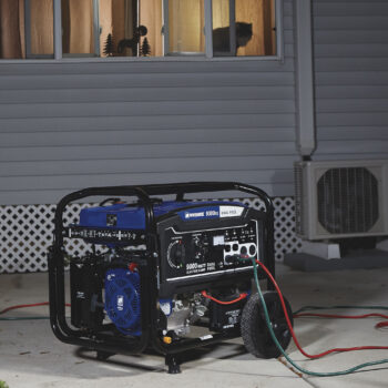 Powerhorse Dual Fuel Generator 9000 Surge Watts18