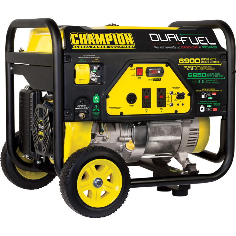hampion Power Equipment Portable Dual Fuel Generator 69001